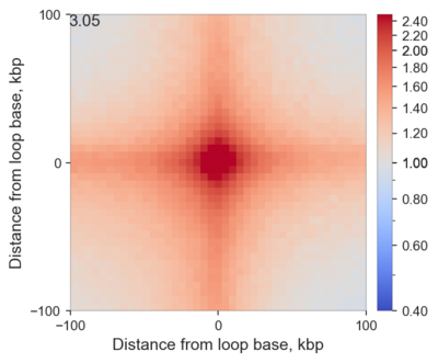 Example loop pileup