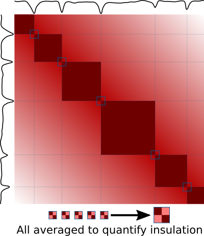 Boundary averaging
