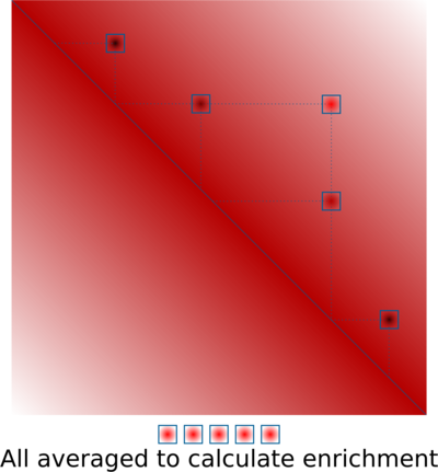 Loop averaging